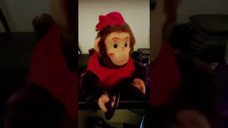 My monkey falls off meme