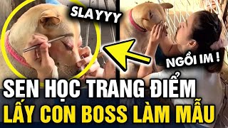 Học makeup mà KHÔNG CÓ MẪU, con sen lôi boss ra thực hành và cái kết CỰC QUYẾN RŨ | Tin 3 Phút