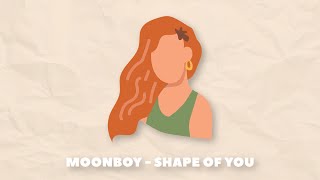 (no copyright music) cute lofi type beat "shape of you" 🙋‍♀️ royalty free vlog music