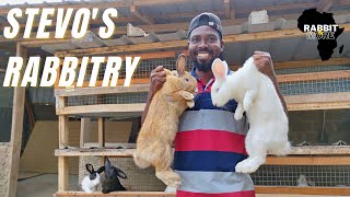 200 Rabbits in 9 Months || STEVO'S RABBITRY