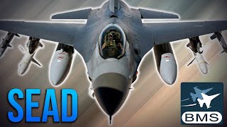 Falcon BMS SEAD Mission CO-OP