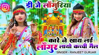 न्यू लांगुरिया 2024 | कारे ने खाय लई लागुंर लायो कच्ची गैल | ranjeet Gurjar new languriya #languriya