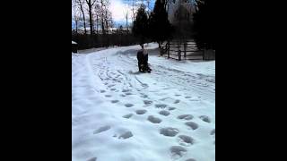 Daughter & Dad Sled Team run for Gold