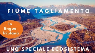 Il Fiume Tagliamento IL TILIMENT di cà e di là da l'aghe l'unico fiume naturale e selvaggio