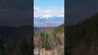 #mountains #mountainarea #bran #judetulbrasov #transilvania #romania #nature