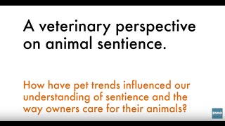 A veterinary perspective on animal sentience: the influence of pet trends