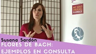 Flores de Bach: Ejemplos en consulta 💮