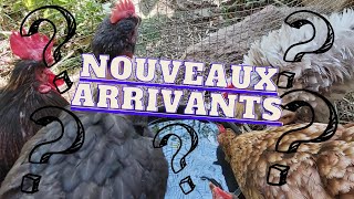 NOUVEAUX ARRIVANTS !!!!!! ( je suis envahi 🤯)