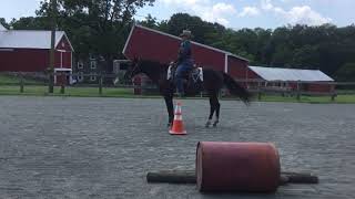 Class 22 Open Equitation/Horsemanship (July 2019)