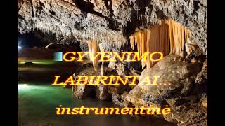 Gyvenimo labirintai . Instrumentinė pjesė , muzika Stasio Gurskio.