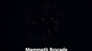 Mammoth Brocade - American Fireworks Company