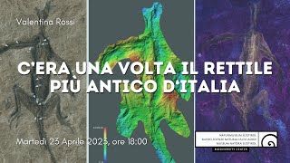 C’era una volta il rettile più antico d‘Italia