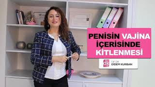 Penisin Vajina İçerisinde Kitlenmesi Gerçek Mi?