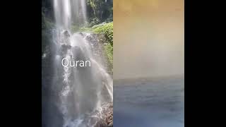 Surah Rum Aayat 21 Urdu Translation