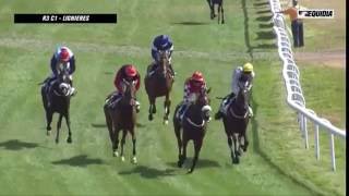 Class Conti - Lignieres AQPS Flat Race (Winner a half brother to Silviniaco Conti) [21/08/16)