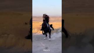 Riding a girl with a first-class horse🔥|سوارکاری دختر با اسب درجه یک🔥#animals #horse #girl#دختر #اسب