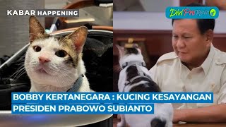 BOBBY KERTANEGARA : KUCING KESAYANGAN PRESIDEN PRABOWO SUBIANTO