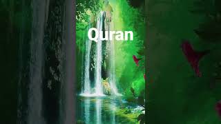 💕Quran Translation In Urdu🌷|| Quran Translation Status🌿|| #qurantranslation #quraninurdu #quran