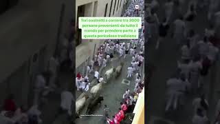 A Pamplona torna la crudele corsa dei tori di San Firmino