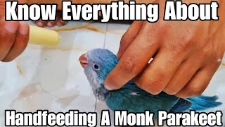 How to Hand Feed Baby Monk Parakeet/Quaker Parrot? | Hand Feeding Routine & Chart | All About Pets