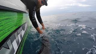 Competative Fishing Team Wahoo Tournament