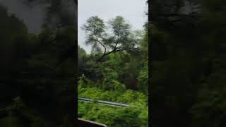 भारत में रेलवे ट्रैक के किनारे जंगल।Forest along a railway track in India.