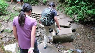 Grotto Falls Hike on Trillium Gap Trail Great Smoky Mountains National Park