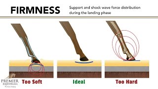 How Riding Arena Surfaces Affect Horse Biomechanics