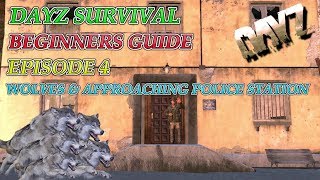 DayZ - Beginners Guide EP 4 - Wolves & Approaching P.D. Standalone .62