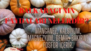 BALKABAĞI FAYDALARI / Balkabağı Zararları ve Yan Etkileri / pratik fikirler