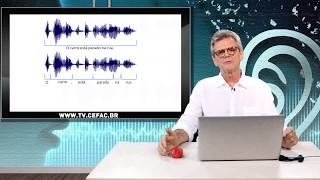 CONSCIÊNCIA FONOLÓGICA E SISTEMAS ALFABÉTICOS DE ESCRITA:  IMPLICAÇÕES PARA A ALFABETIZAÇÃO