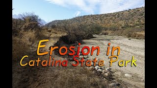 Erosion in Catalina State Park