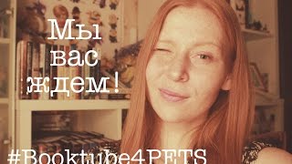 Благотворительная книжная ярмарка + книги на продажу|| GingerInBooks