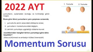 2022 AYT Momentum (Yumurta) Sorusu Ayrıntılı Çözümü