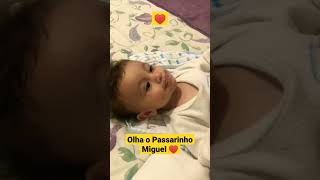 Olha o Passarinho Miguel. Família Dias