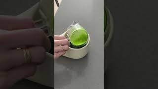 Matcha Morning Routine