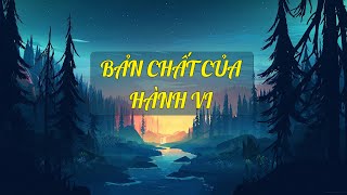 BẢN CHẤT CỦA HÀNH VI - TT Thích Chân Quang - chùa Tương Mai, Hà Nội - 21.10.2017