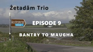 Zetadam Trio | Maugha Barn