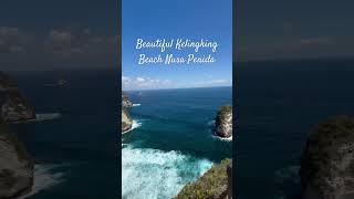 Beautiful Kelingking beach 🏖️ Nusa Penida Bali #travel #beach #kelingkingbeach #nusapenida