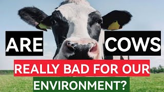 Are Cows Really Bad For The Environment?