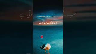 جب تجھے کسی سے محبت ہوتی ہے ❤️ / Islamic Status | Peer Ajmal Raza Qadri | Khoobsurat Batain |#shorts