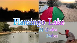 Flamingo Lake Al Qudra Dubai|| Travel Vlog|| Grilled Chicken&Fish