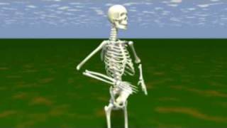 MoCap Skeleton Animation