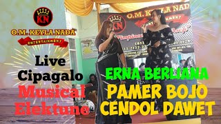 PAMER BOJO CENDOL DAWET - COVER BY ERNA BERLIANA