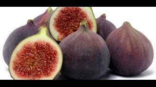 HOW TO GROW FIGS IN A CONTAINER OR POT