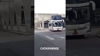 CATARINENSE