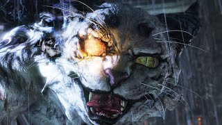 Nioh 2 White Tiger Dream of the Wise no damage Stone of Penance +9