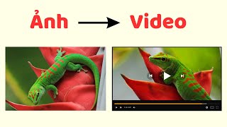 Biến hình ảnh tĩnh thành video với con AI này & Chuyển text thành video