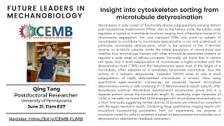 Future Leaders in Mechanobiology Seminar: Qing Tang