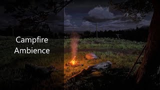 Campfire Ambience with Night - 1 Hour